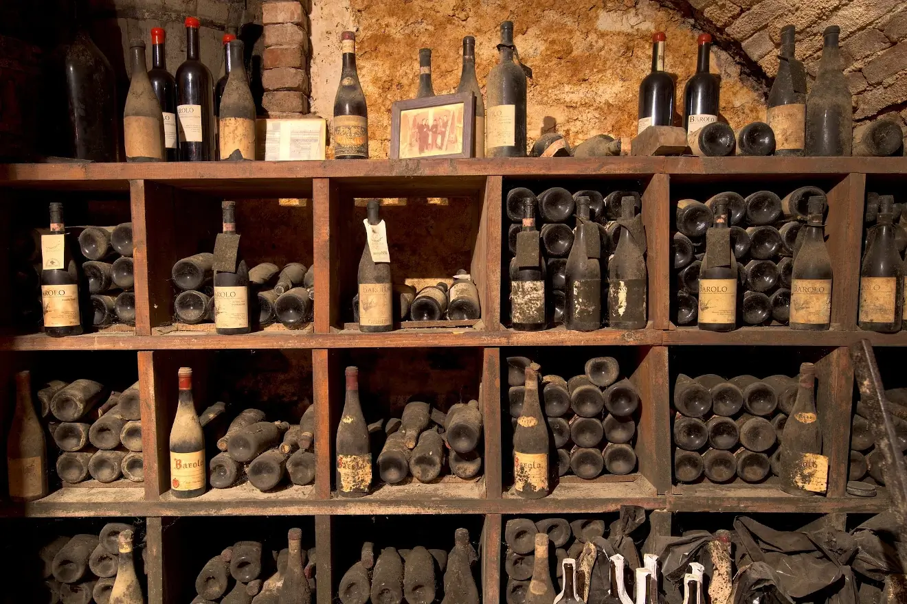 Cave à vin de vieillissement - Fabrication française - Grande